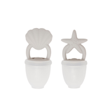 2 Pack Star and Sea Shell Feeding Pacifier