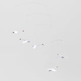Scandinavian Swans