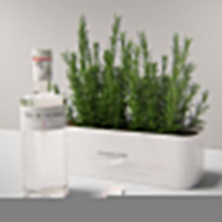 The Botanist Planter Gift Pack