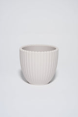 Seashell Cup - Sand｜Baby Cup