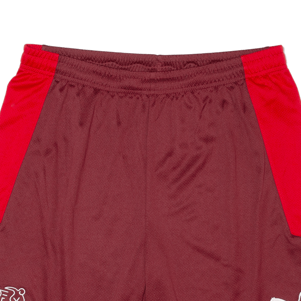 PUMA Switzerland National Team Mens Sports Shorts Red Relaxed L W32