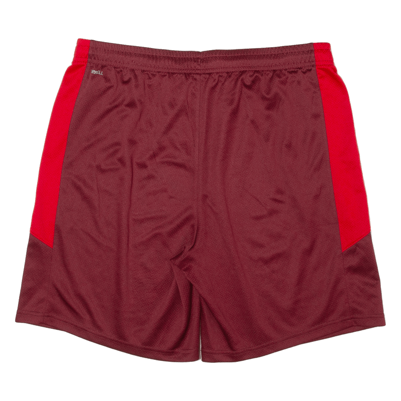 PUMA Switzerland National Team Mens Sports Shorts Red Relaxed L W32