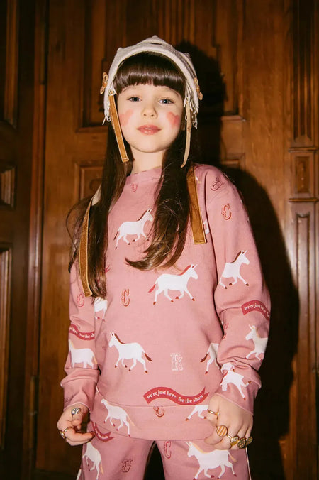 Unicorn jumper