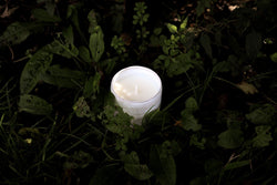 Ceramic Vineyard Candle