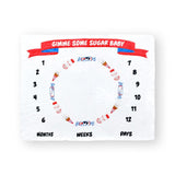 Fleece Milestone Blanket for Baby Photography - Gimme Some Sugar Baby