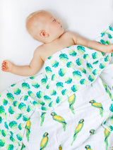 Organic Snug Blanket - Parrots