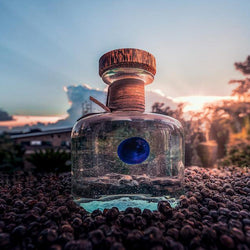 Procera Blue Dot Gin