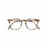 Screen Adult #E Blue Tortoise