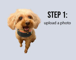 Customised #GuiltFreeKicks!