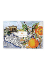 肥皂和肥皂盒 Tsp044150 Bel-Orange