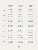 Toddler & Big Kid Cotton Knit PJ Set (Erawan Grey)