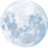 LUNA WALL STICKER