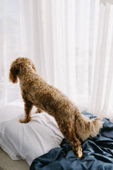 [Up to 50% off] Bamboo Fitted Sheet