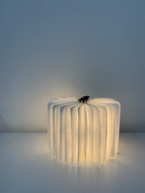 Mini Book Light