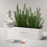 The Botanist Planter Gift Pack