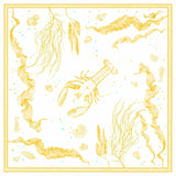 LOBSTER silk scarf