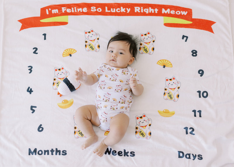 Fleece Milestone Blanket for Baby Photography - I'm Feline So Lucky Right Meow